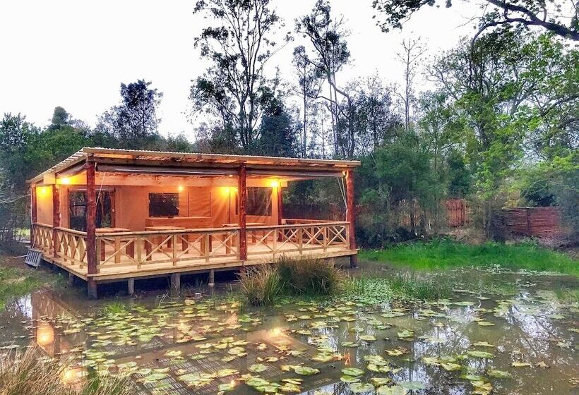 בית מלון כפרי Forest Edge