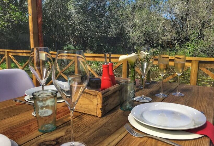 בית מלון כפרי Forest Edge