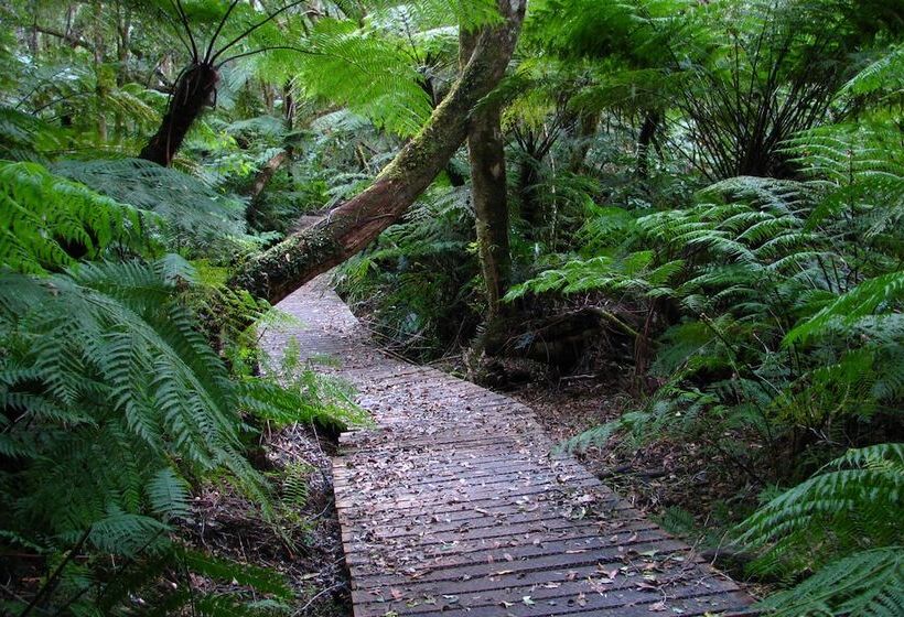 בית מלון כפרי Forest Edge