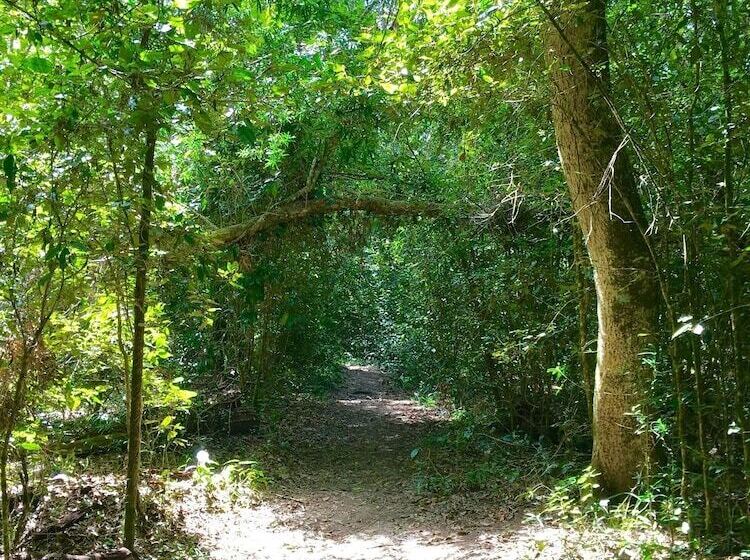 בית מלון כפרי Forest Edge