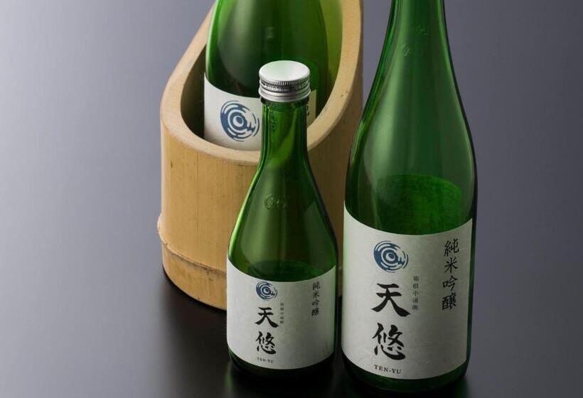 酒店 Hakone Kowakien Tenyu