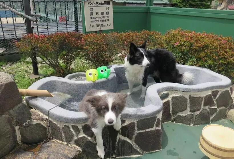 هتل Kinugawa Kokusai