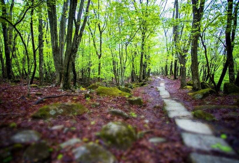 Mineyama Kogen Hotel Relaxia