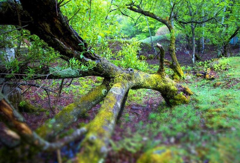 Mineyama Kogen Hotel Relaxia