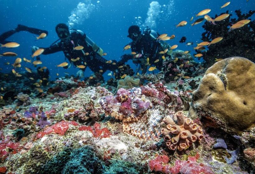 هتل Robinson Noonu  All Inclusive