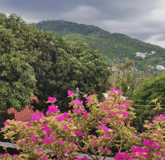 בית מלון כפרי Platinum Resort