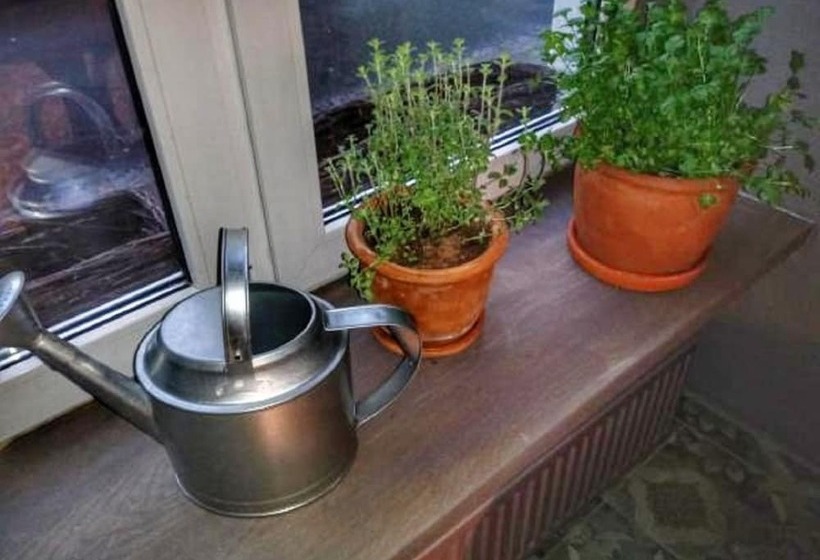 בית מלון כפרי Shalom Kazimierz