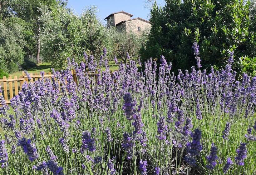 호텔 Frateria Di San Benedetto