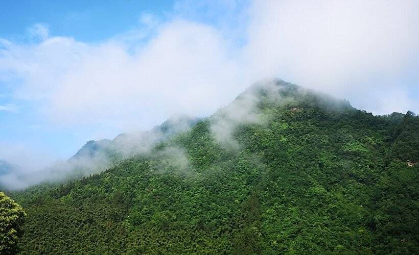 בית מלון כפרי Purespace