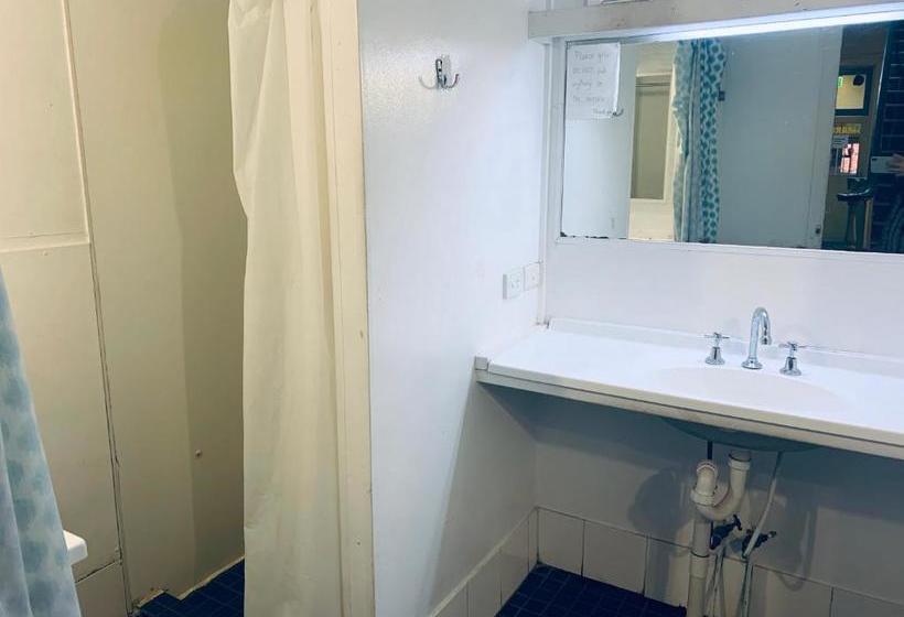 فندق Yellow Submarine Backpackers