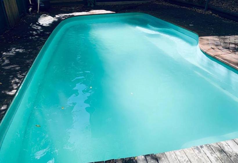 فندق Yellow Submarine Backpackers