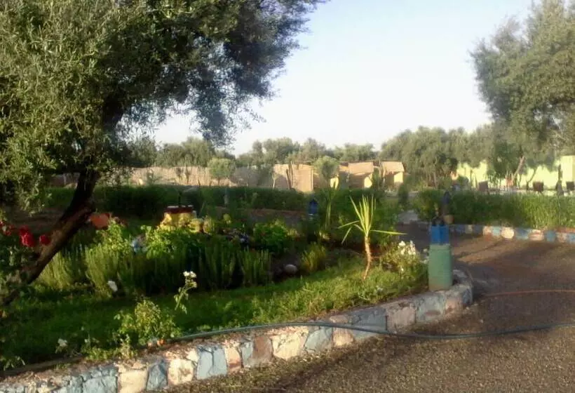 Hotelli Atlas Resorts