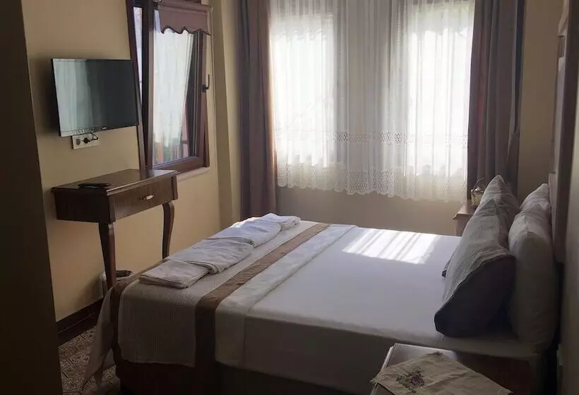 ホテル Hayriye Hanim Ege