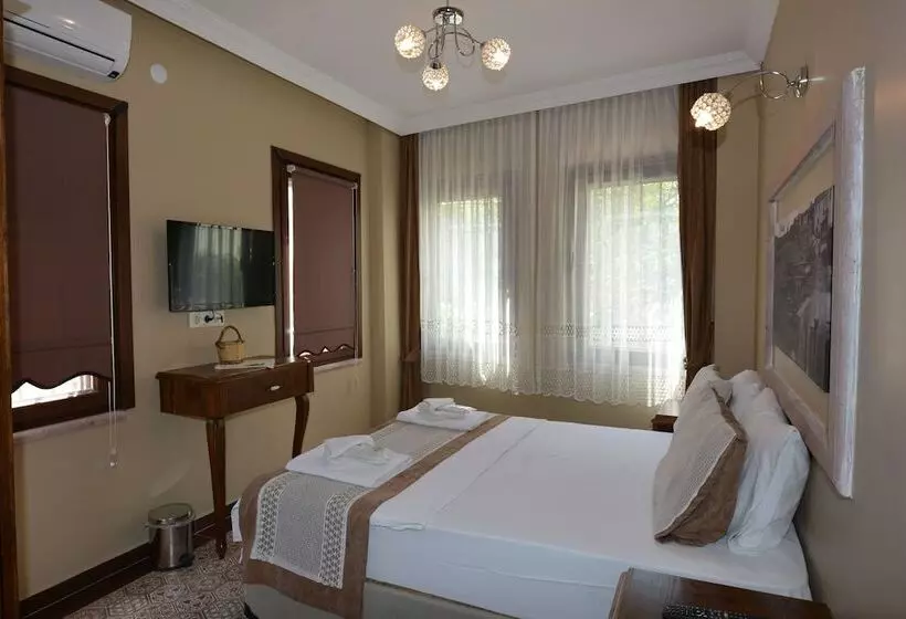 ホテル Hayriye Hanim Ege