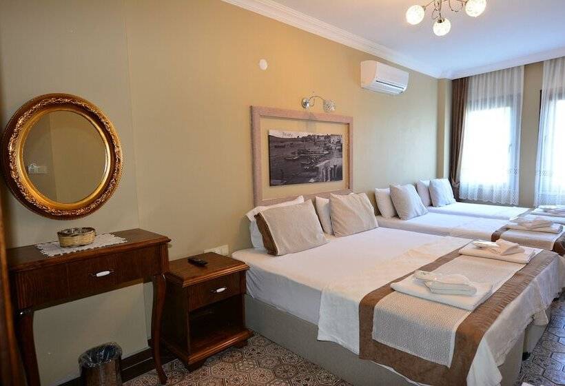 هتل Hayriye Hanim Ege