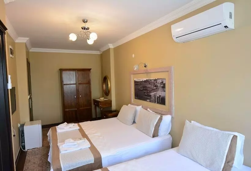 ホテル Hayriye Hanim Ege