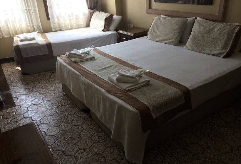 هتل Hayriye Hanim Ege