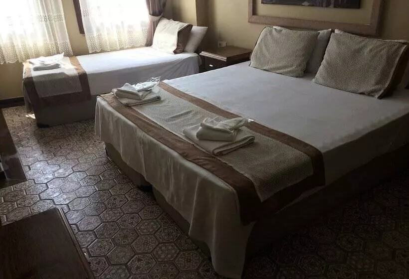 ホテル Hayriye Hanim Ege