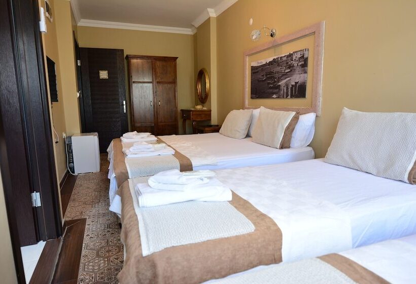 هتل Hayriye Hanim Ege