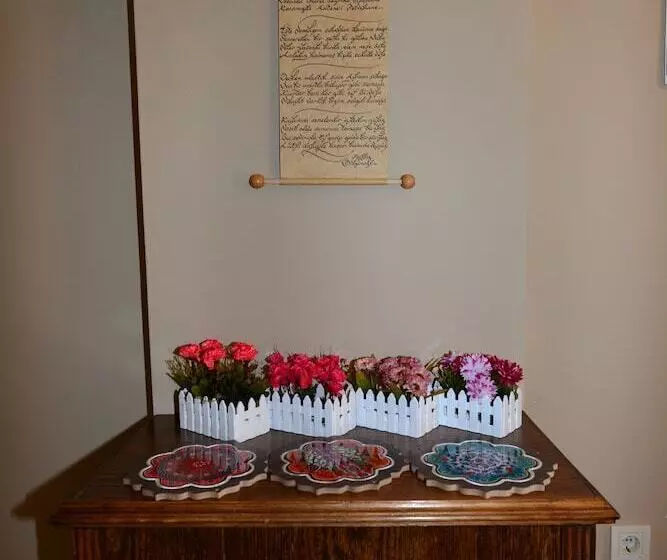 ホテル Hayriye Hanim Ege