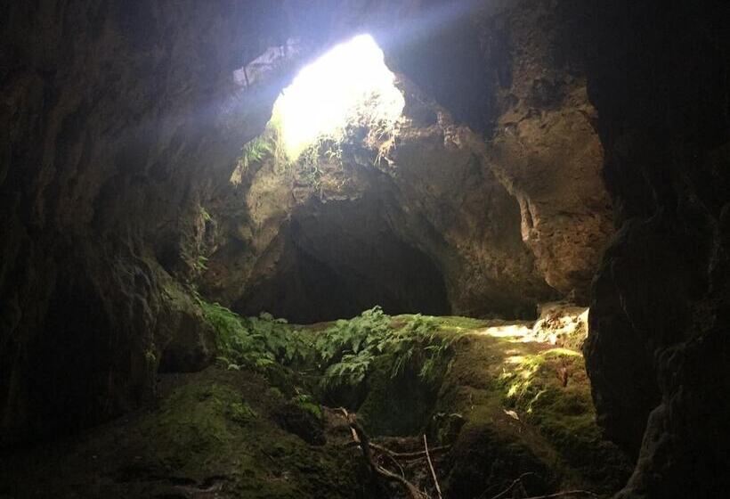 هتل House Of Tonga