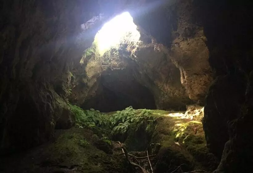 ホテル House Of Tonga