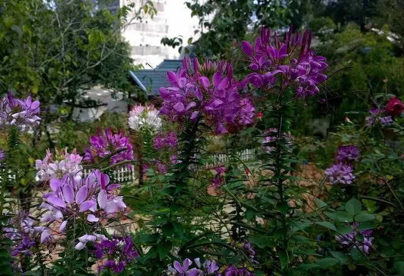 هتل Sapa Garden Resort