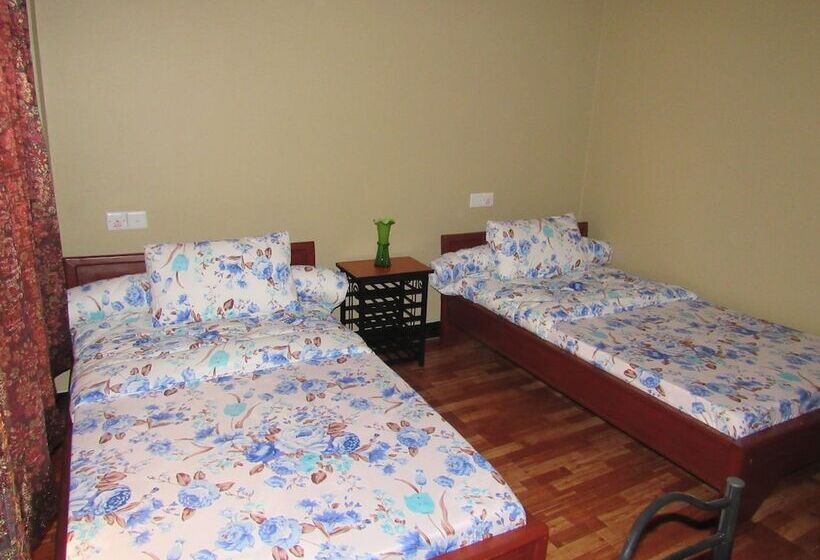 Отель Shika Tours And Hostel