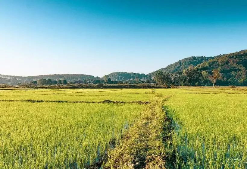 ホテル Baan Sin Suk