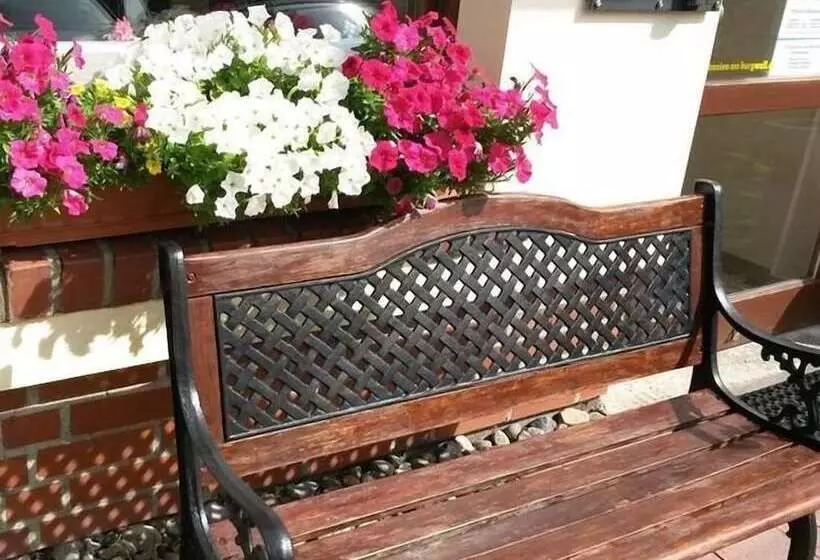 Hotelli Pension Am Burgwall