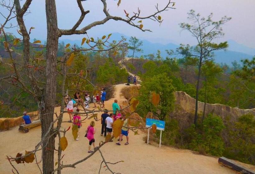 בית מלון כפרי Tf Apartment