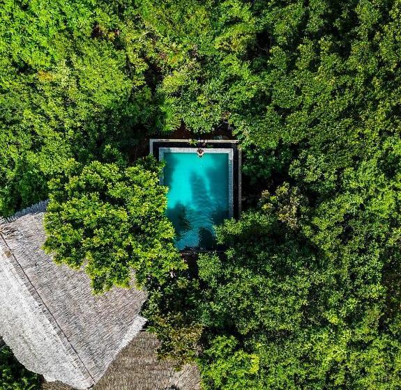 בית מלון כפרי The Hideout  Koh Yao Noi