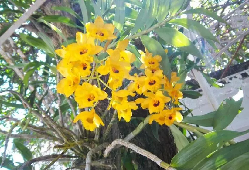 Hotelli Pousada Do Mendonça