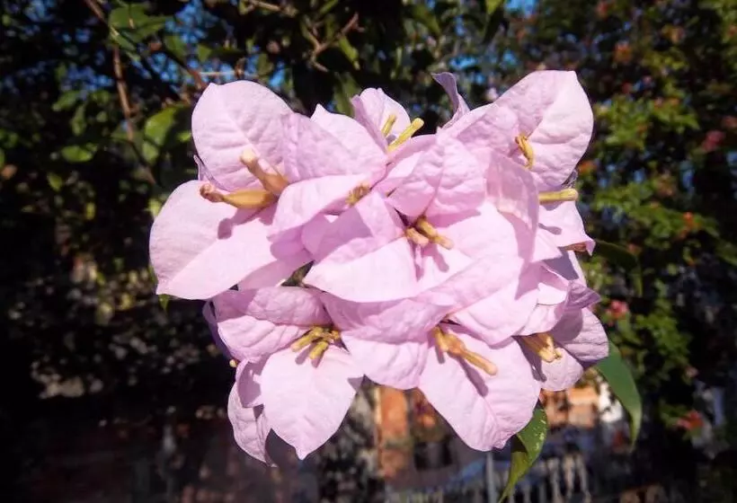 Hotelli Pousada Do Mendonça