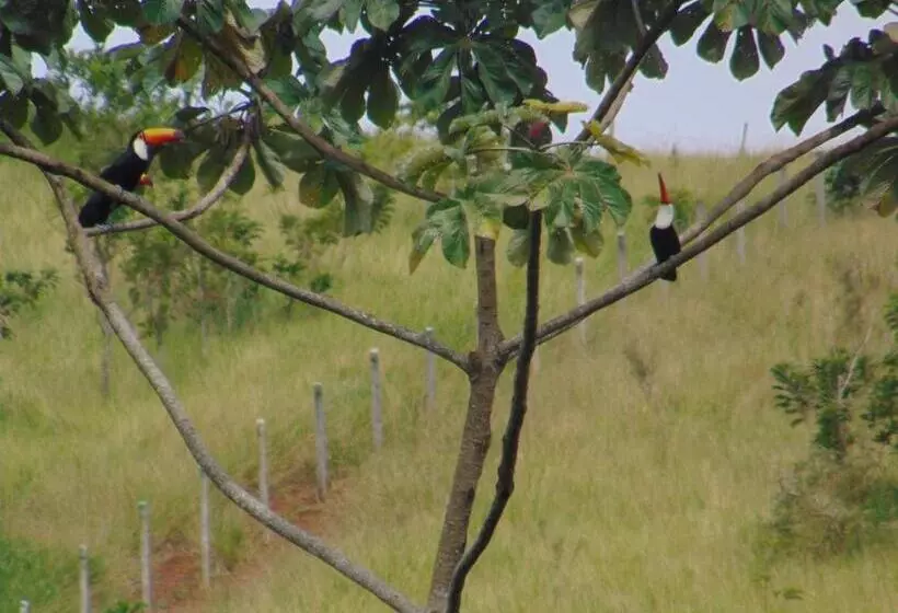 Hotelli Pousada Do Mendonça