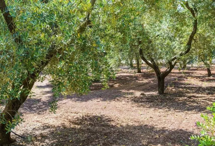 هتل Dimora Tenuta Solentino