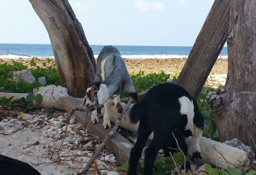 בית מלון כפרי Villas Light House   Eco Traditional Joglo