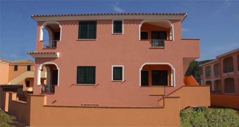 Le Ginestre E Gli Oleandri