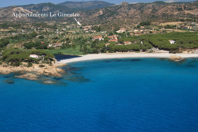 Le Ginestre E Gli Oleandri