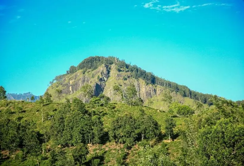 ホテル 98 Acres Resort & Spa