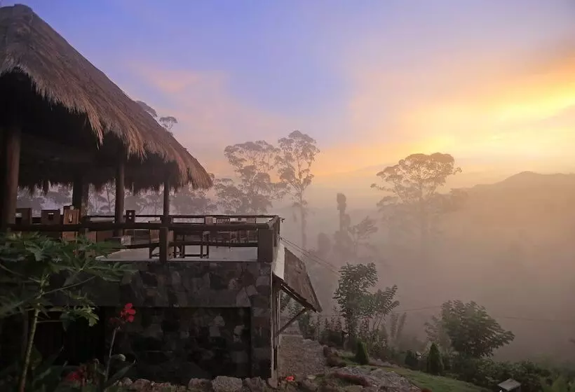 ホテル 98 Acres Resort & Spa