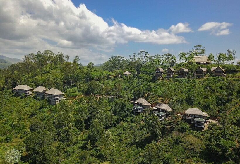 Hotel 98 Acres Resort & Spa