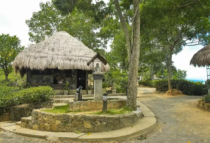 ホテル 98 Acres Resort & Spa