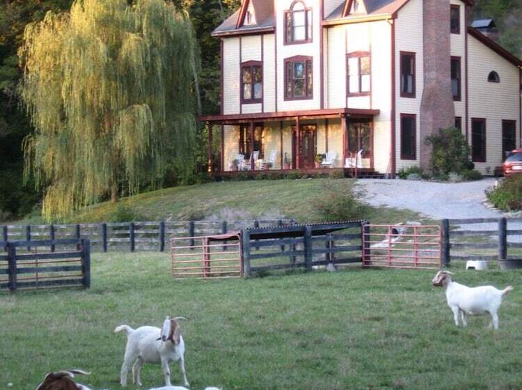 ホテル Blue Heron B&b And Retreat Center