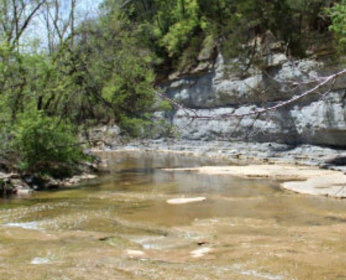 ホテル Blue Heron B&b And Retreat Center