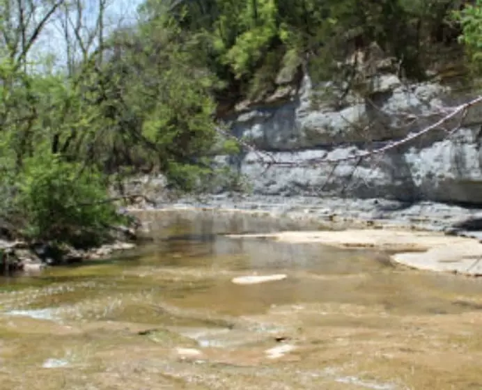 ホテル Blue Heron B&b And Retreat Center