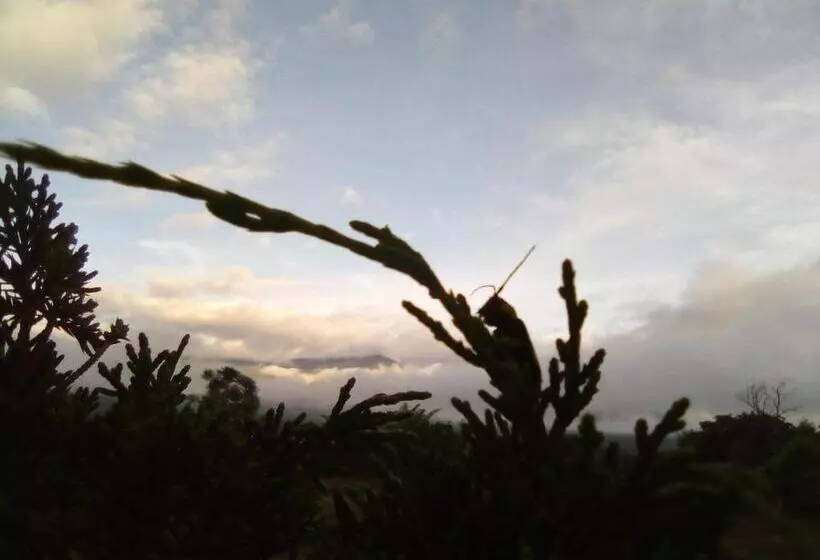 ホテル Chilling Hill Guesthouse