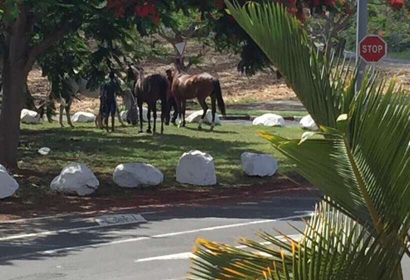 هتل Sun & Earth Villa