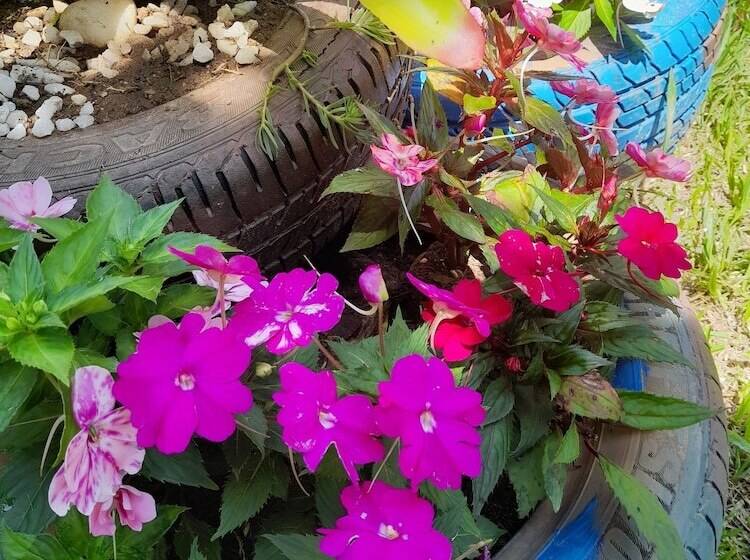 בית מלון כפרי Pousada Flora Búzios