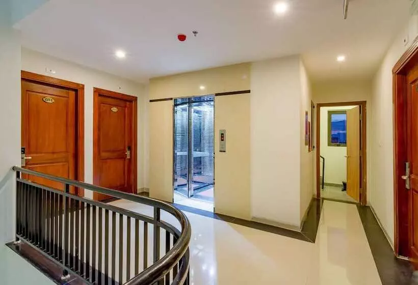 Salamander Apartment